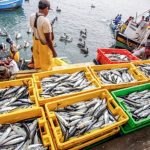 AUDITORÍA INTERNACIONAL DE COSTA RICA DESTACA LA CAPACIDAD SANITARIA DEL PERÚ Y SU POTENCIAL EXPORTADOR EN PRODUCTOS HIDROBIOLÓGICOS